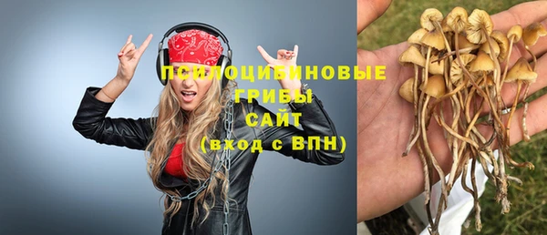 винт Абаза